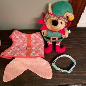 Small dog fish collar, The Dodo collar and hedgehog holiday toy.